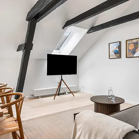 Apartment City-center Penthouse W Private Balcony Århus